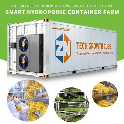 Factory Direct Large Intelligent Multi-Span Strawberry Cultivation Container Mobile App Remote Monitoring Year High Yield Tech