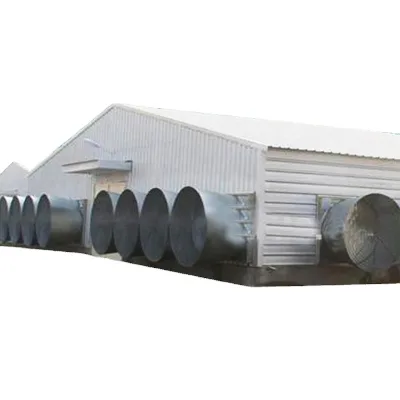 Hebei Factory Supply Chicken Farm Building Steel Structure Free Range Large Chicken  House for Wholesale