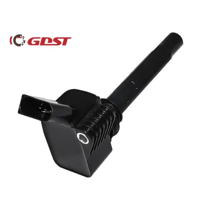 GDST Good Quality Factory Directly Manufacturer ODM Service OEM 06J905110F Auto Spare Parts Brand New Ignition Coil for VW,Audi