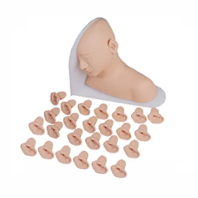 Medical Science Human Ear Examination Model Medical Science Product