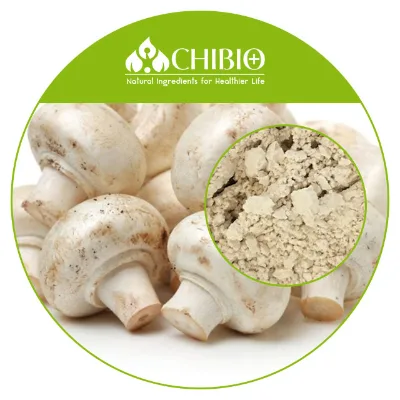 GMO-free Allergen-free Chitin Mushroom Chitosan Oligosaccharide Fungal Chitosan Water Soluble Factory Supply