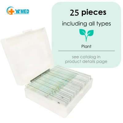 Middle School Use Customization Teaching Tools Botany Prepared Glass Slides 25pcs Set