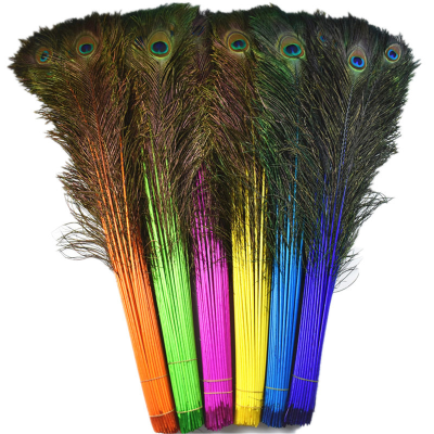 Peacock Feather Supplier Dyed Colors Natural Long Peacock Eye Feathers for Wedding Home Decoration DIY Craft