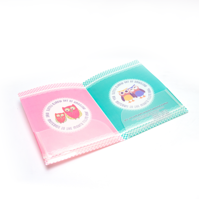 Original Quality Complete Specifications of Plastic Embossing File Folder