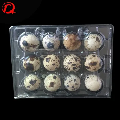 Cheap Price 12 Hole Quail Egg Carton for Sale