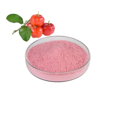 ODM/OEM Natural Pure Acerola Extract Powder 17% 25% Vitamin C Acerola Cherry Extract