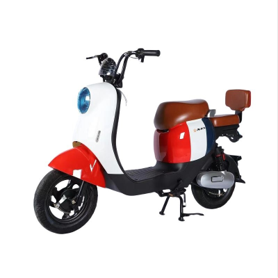 Electric Bicycle  Electric Racing Motorcycle Wholesale Front and Rear Drum Brakes Electric Motorcycle Moped