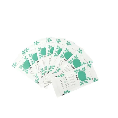 Single-use Disinfectable Thick Medical Grade Paper Bag Air EO/Steam Sterilized Class I Medical Device Packaging for Beauty Care