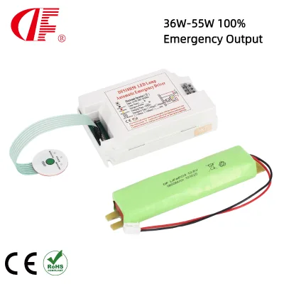 LED Emergency Driver with Battery Backup Self Test 36W-55W for LED Spot Light Panel Light Emergency Shut-off