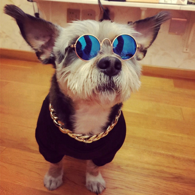 Cool Stylish Funny Cute Pet Sunglasses Dog Eye Wear Cat Sunglass Classic Retro Circular Metal Prince Sun Glasses for Cats Dogs