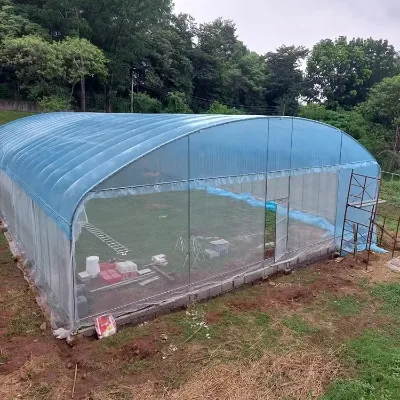 Commercial Agricultural Modular Multispan Plastic Greenhouse for Sale