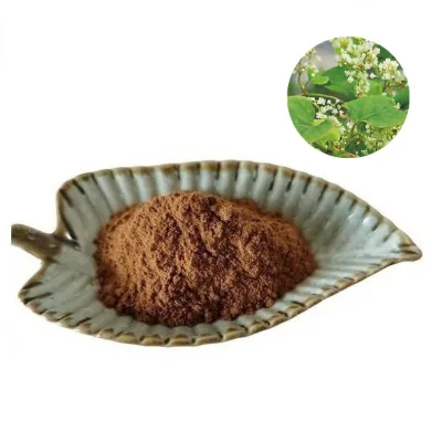 Factory Supply CTM He Shou Wu Polygonum Multiflorum Root- prepared Extract Powder in Bulk Stock