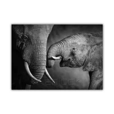 Bond of Giants: a Mother and Calf's Tender Moment Painting Canvas Art Hot Selling