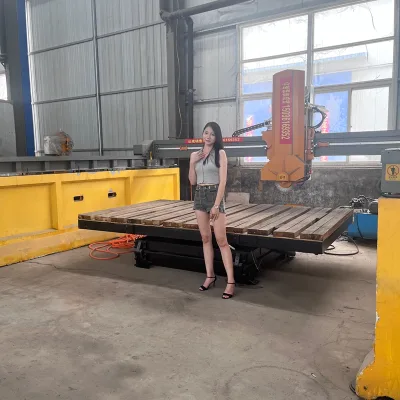 Infrared Fully Automatic Bridge Edge Cutting Machine, Stone Home Decoration Multi-purpose Cutting Machine