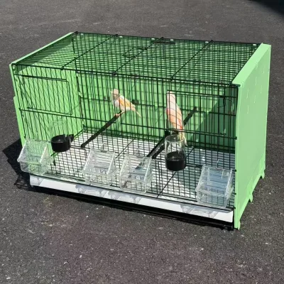 Galvanized Steel Big Bird Breeding Cage with Divisor High-quality Fast Delivery Factory Direct Wholesale Price