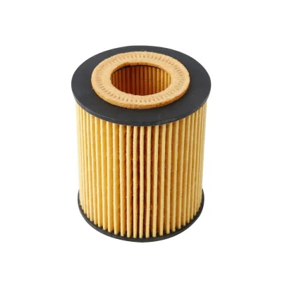 OEM LR013148 JDE8751 High-Quality Car Oil Filter for Land Rover