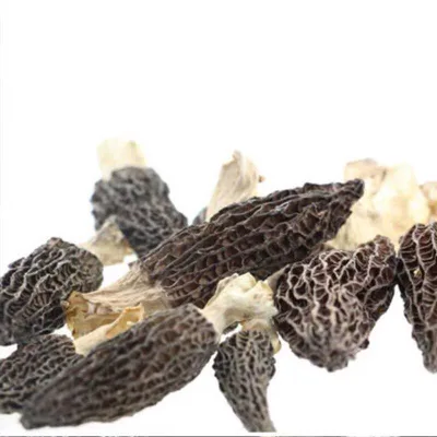 Factory Price Black Morel Mushroom Spawn Black Morel Mushrooms