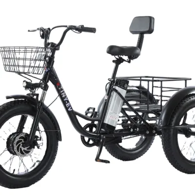 Best Selling 20-Inch Iron Tricycle with Fat Tire Lithium Battery Rear Seat Pedicab for Carrying People Snow Vegetable Basket