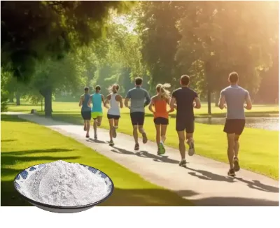 Best Price  Pure 98% Bcaa  Food Supplement Amino Acid Bcaa Powder for Sale