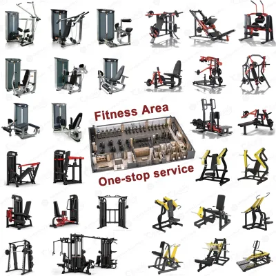 Heavy Duty Gym Equipment Fitness Center Equipment Health Club Gym Equipment Gym Club Equipment for Professional Gyms and Clubs