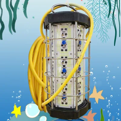 Auto Electric Automatic Squid Catching Fish Other  Fishing Products Lamp Machine Equipment for Boat Underwater Fishing
