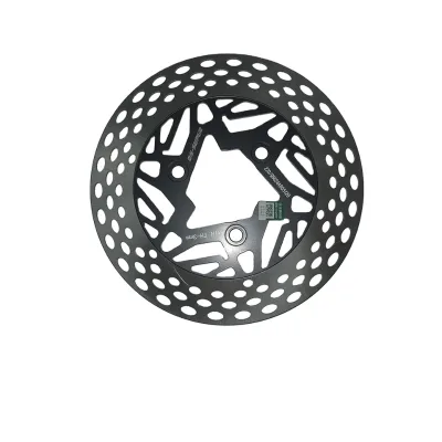 QS MOTOR 220mm Disc Brake Plate for Electric Motorcycle Made in Mainland China Not for Installation