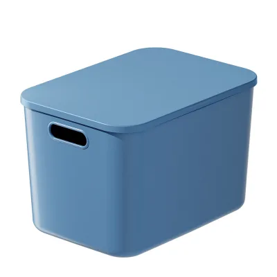 GREENSIDE Miscellaneous Toy Storage Box, Dormitory Household Wardrobe, Living Room Large-capacity Snack , Covered Desktop