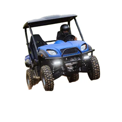 2024 New Electric Side by Side Sxs 4X4 Farm Vehicle