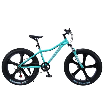 Special Offer: Affordable Snowmobile Racing Off-road 21-speed Carbon Steel Frame Thick-tire Bicycle