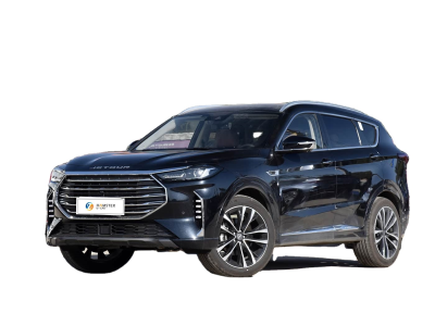 China Car Nice Car Good Car Cheap Car SUV Popular Car