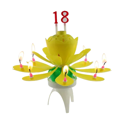 Wholesale Paper Box Packing Chrysanthemum Music Flower Candles With Number