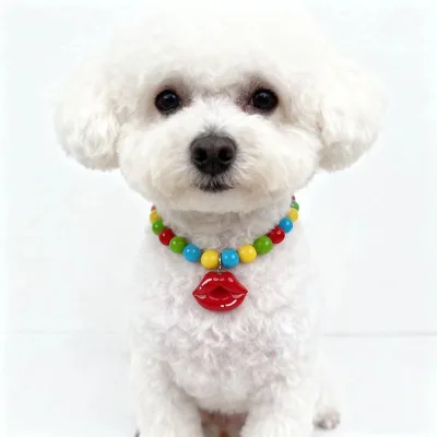 Pet Lip Pendant Necklace Cat Candy Rainbow Collar Cute Cartoon Resin Charm Decoration-Wholesale Available