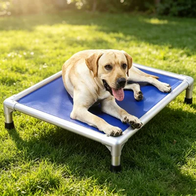 Lightweight Portable Raised Dog Cot Aluminum Profile Frame Functional PVC Mat for Outdoor Camping Travel