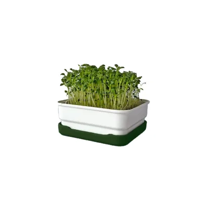 Organic Mini Microgreens Starter Kit Home Garden Sprout Pots Nursery Flower Pot Home Decor Floor and  Decoration