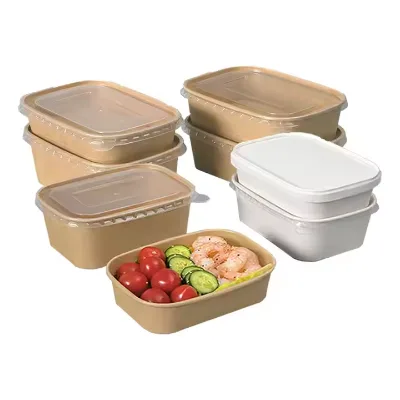 Waterproof, Oil-proof and Leak-proof Microwave Frozen Reusable Disposable square Bowl with Lid