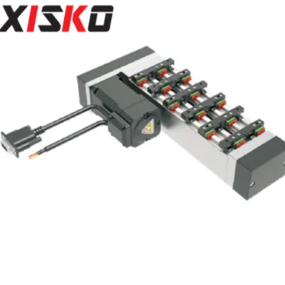 XISKO  High Precision Variable Pitch Linear Module Conveying Slide Table Automation Linear Motor Module XSK60B-RK