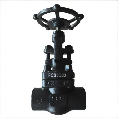High-Quality High-Temperature Gate Valve A105N Forged Steel Socket Weld Flange NPT 800LB