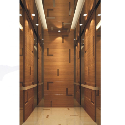Great Cheap Elevators Lift Passenger Elevator with CE/CUTR/TUV