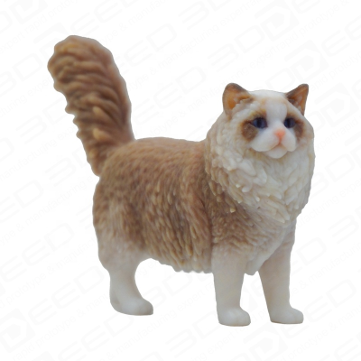 3D Resin Printing Professional 3D Printing Company Color Custom 3D Printing