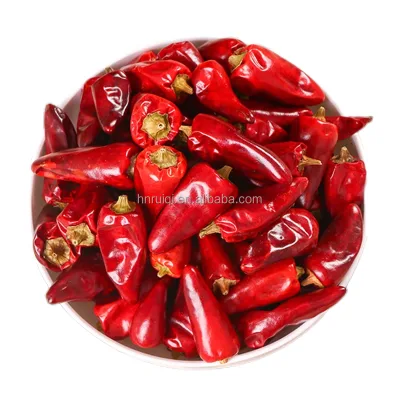 Blended Dried Barbecue Seasoning Spice Curry Turmeric Chili Paprika Black Pepper Mushroom Extract Powder