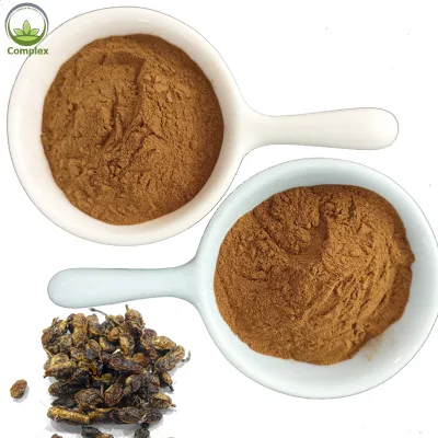 Factory supply best quality sophora japonica extract powder