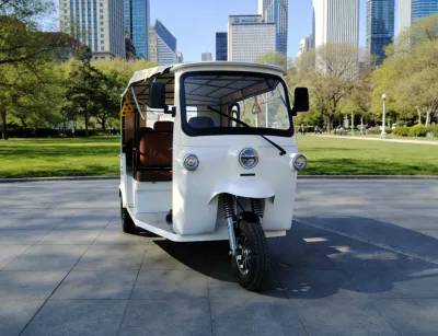 Factory Direct Electric Tricycle E Trike Open Body Low Speed Electric Bike for Export and Public Use