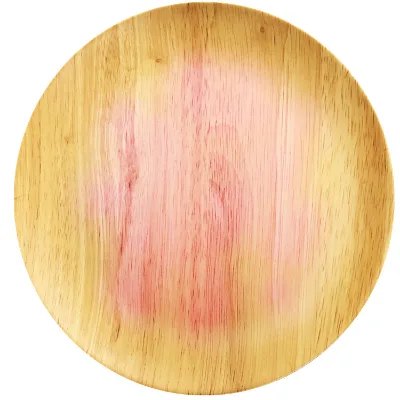 10 Inch Natural Wood-Look Melamine Dishes & Plate for Casual & Rustic Dining