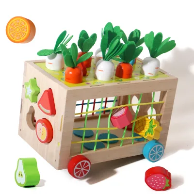 Hot Selling High Quality Children Educational Toy 2-4 Kids Gift Wooden Shape Sorting Toy
