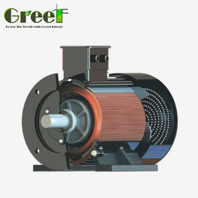 Permanent Magnet Generators 100kw 3phase Ac Synchronous Alternative for Sale Drive by Hydraulic/Electric Motor Renewable Energy
