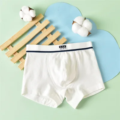 Manufacturers Custom logo Odm/oem Export Quality Wholesale Cotton Underwear Kids Clothing Boys 12 Years