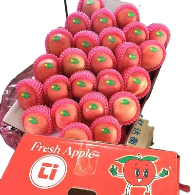 Fuji apple Wholesale for Dubai