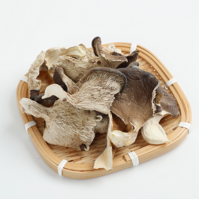 Detan Oyster Dry Mushrooms Export