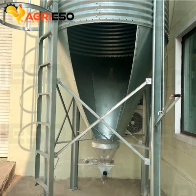 Hot Dip Galvanized Poultry Feed Silo for Automatic Chicken Feeding System and Commercial Poultry Farm