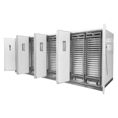 50000 Eggs Capacity Hova Bator Incubator Hot Sale